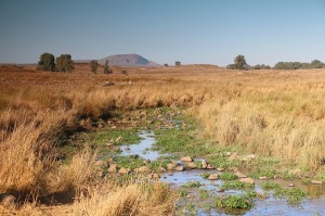 Saeris Tribelands