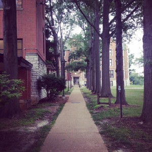 The pathway we walked from the dorms to the dining hall.